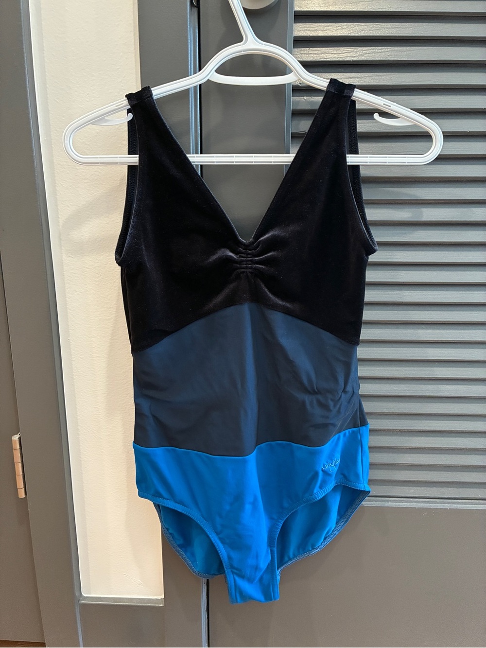 Grishko Velvet and Mesh Leotard